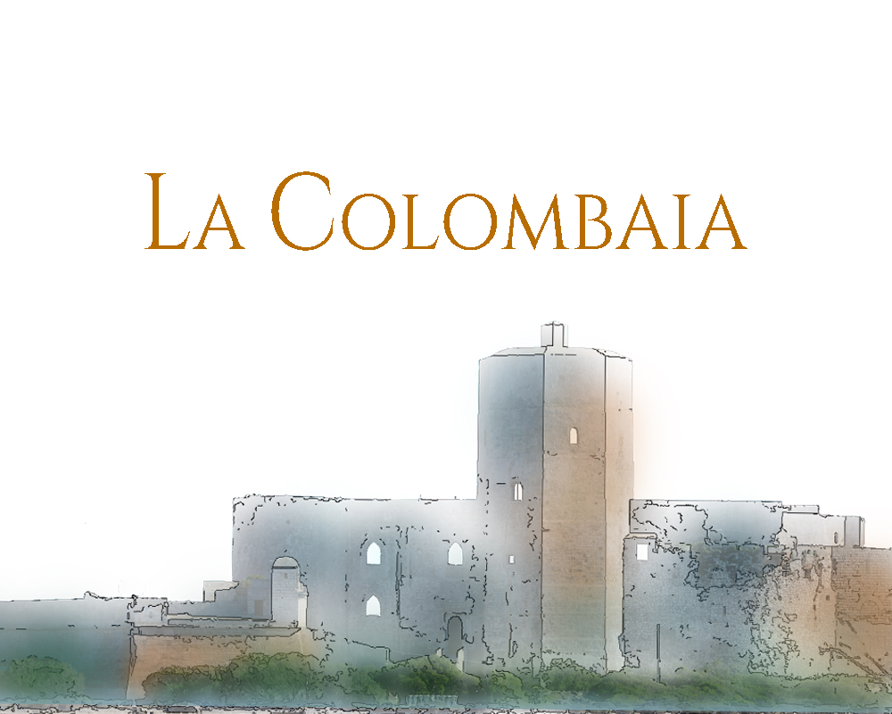 Colorlib Template